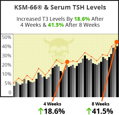 ksm-66 increases T3 Serum TSH levels