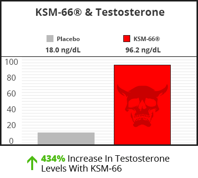 ksm-66 increases testosterone levels